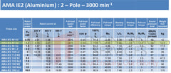1.1kW (1.5hp) Three Phase Motor 2 Pole (3000RPM) 80 Frame