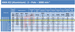 1.5kW (2.0hp) Three Phase Motor 2 Pole (3000RPM) 90S Frame