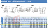 4.0kW (5.5hp) Three Phase Motor 2 Pole (3000RPM) 100 Frame (INCREASED OUTPUT)