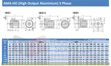 15.0kW Three Phase Motor 2 Pole (3000RPM) 132L Frame (INCREASED OUTPUT)