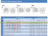 0.75kW (1.0hp) Three Phase Motor 2 Pole (3000RPM) 80 Frame