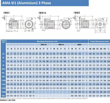 0.18kW (0.25hp) Three Phase Motor 2 Pole (3000RPM) 63 Frame
