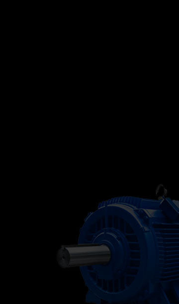 Single Phase Motors